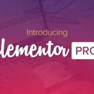 Elementor Pro – No1 WordPress Page Builder Plugin (Free & Paid)